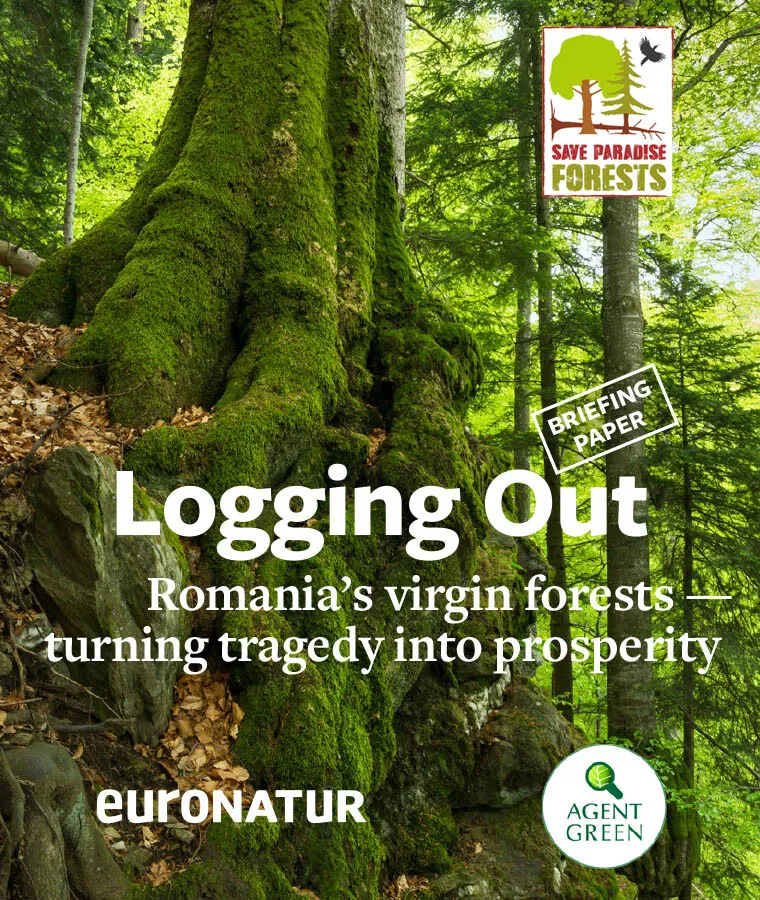 Avem nevoie de voluntari in Gura Humorului si imprejurimi