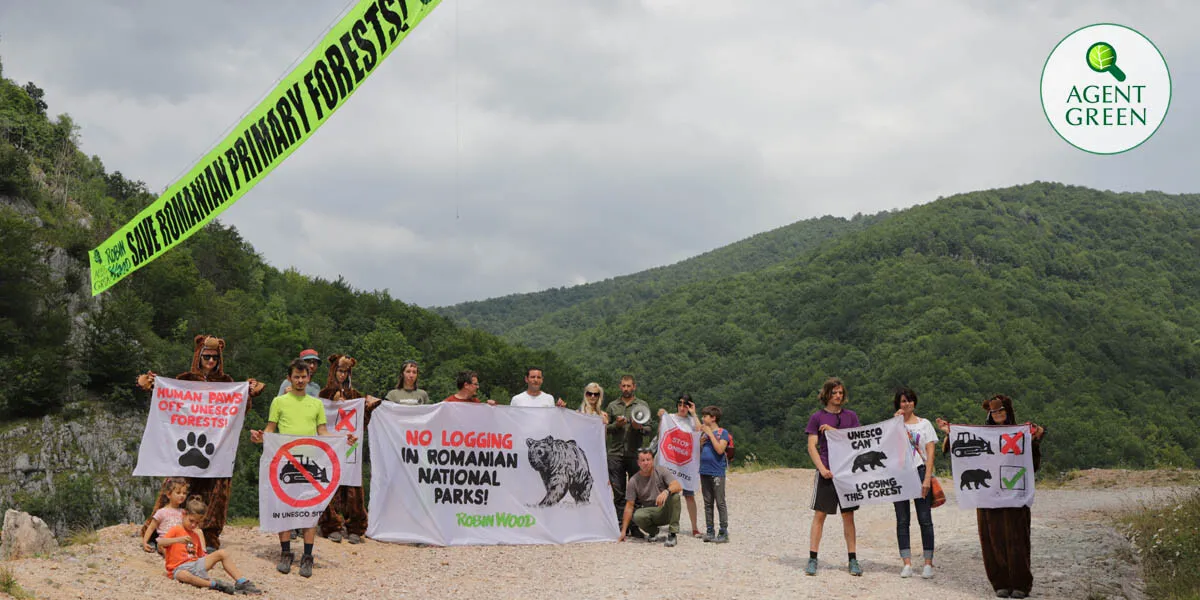 Acțiune spectaculoasă cu alpiniști în Domogled pentru a salva păduri UNESCO amenințate cu asfaltarea