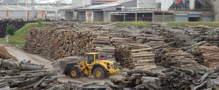 Semneaza petitia Suspendati exploatarea padurii si vanatoarea pe durata starii de urgenta generata de Covid-19