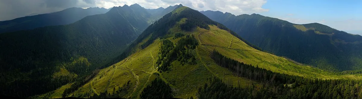 Grupurile ecologiste înaintează noi acțiuni legale către Comisia Europeană Noua plângere vizează din nou distrugerea ariilor naturale protejate ale României