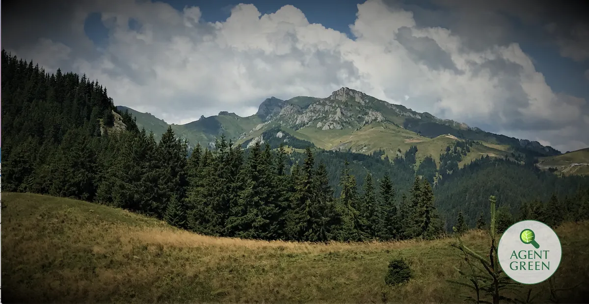 Viitorul Parc Național Ciucaș: Rezervor de biodiversitate și oportunitate de relansare pentru ecoturismul din zona Cheia