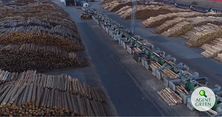 Agent Green, Declic, Greenpeace: Amendamentul “Monopol pentru Schweighofer” revine în Parlamentul României