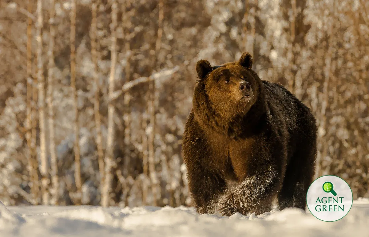Scrisoare deschisa catre domnul Ion-Marcel VELA, Ministrul Afacerilor Interne