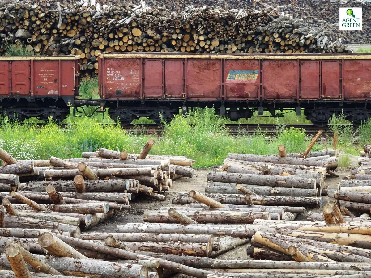 Dezbateri Codul Silvic – vești bune și vești rele