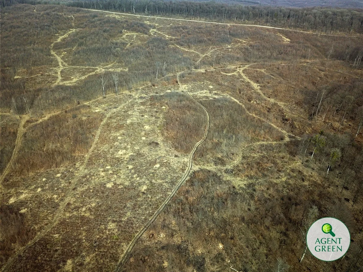 Comunicat de presă: Societatea civilă își unește forțele pentru salvarea ariilor protejate Bârnova – Repedea