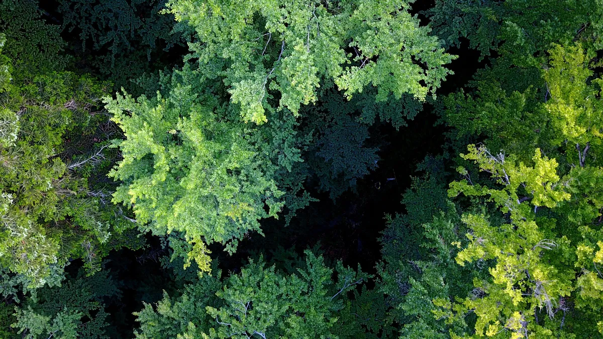 Redirecționează gratuit 20% din impozitul pe profit până pe 30 Septembrie