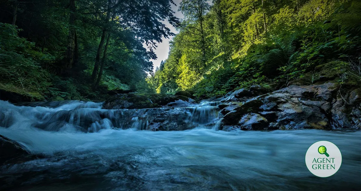 Consultare Agent Green – USR despre protecția mediului în programul de guvernare 2021-2024