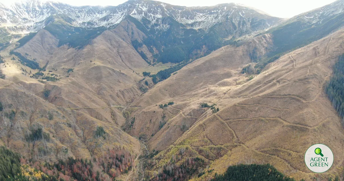 România, singurul stat UE care respinge strategia europenă pentru biodiversitate