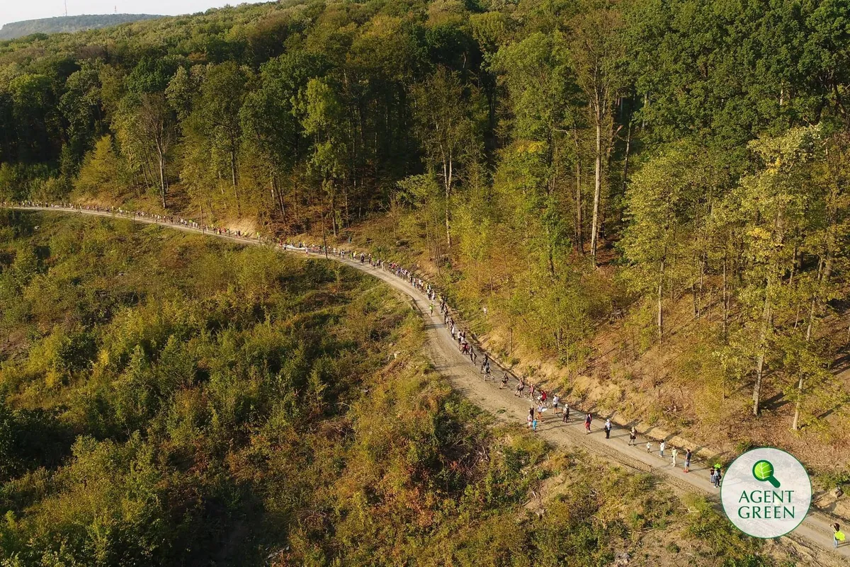 Formula AS pe plaiurile Bucovinei: „Cazul Moldovița”