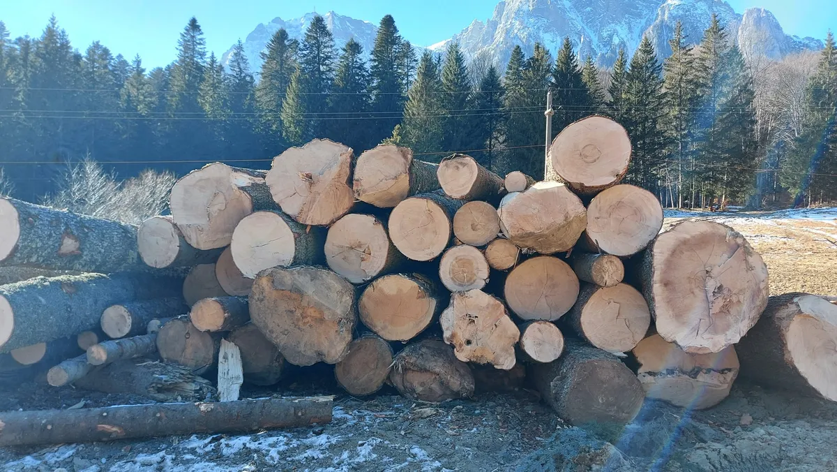 Dezastrul din Parcul Național Munții Rodnei