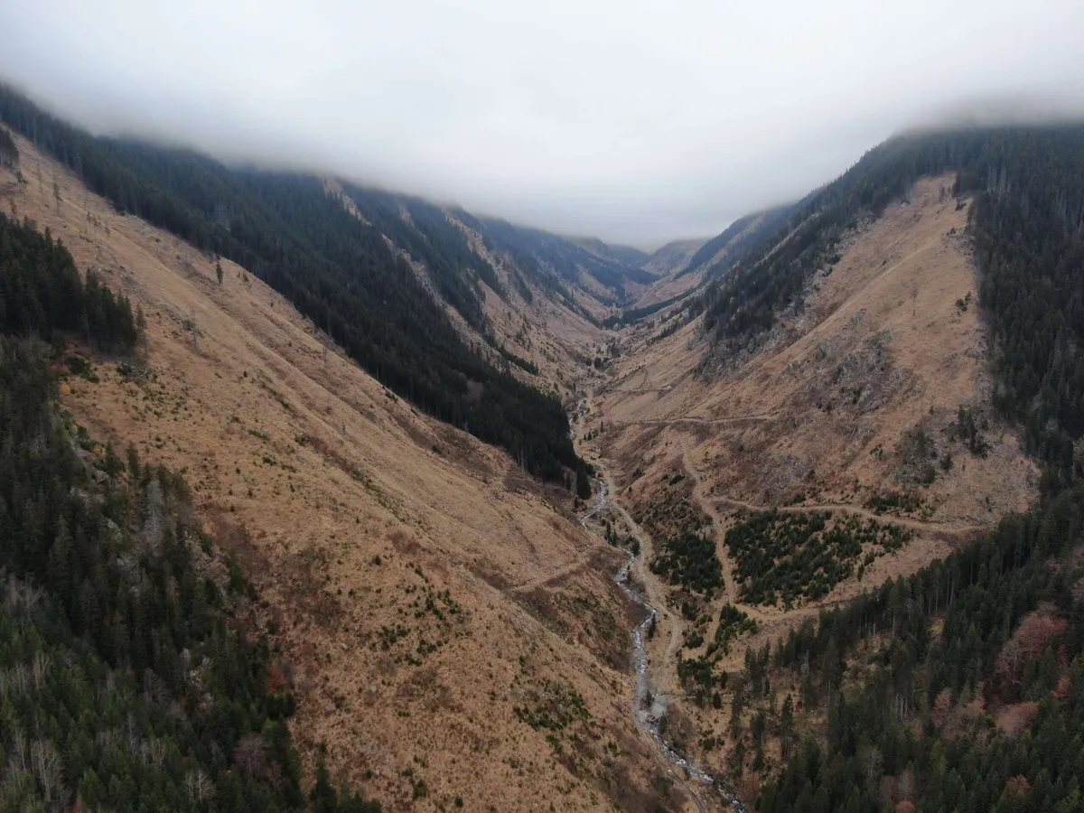 Salvați albinele și fermierii