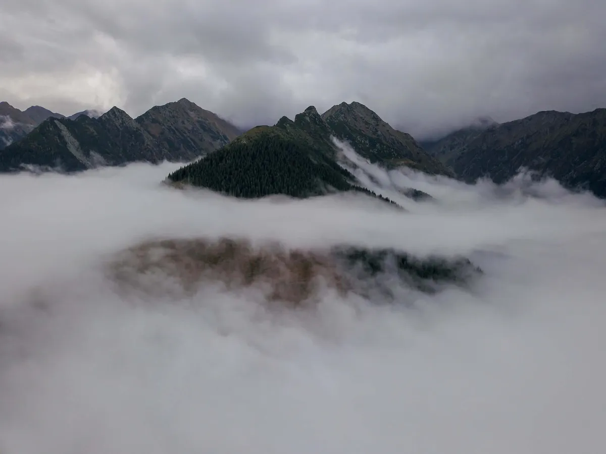 10% protecție strictă