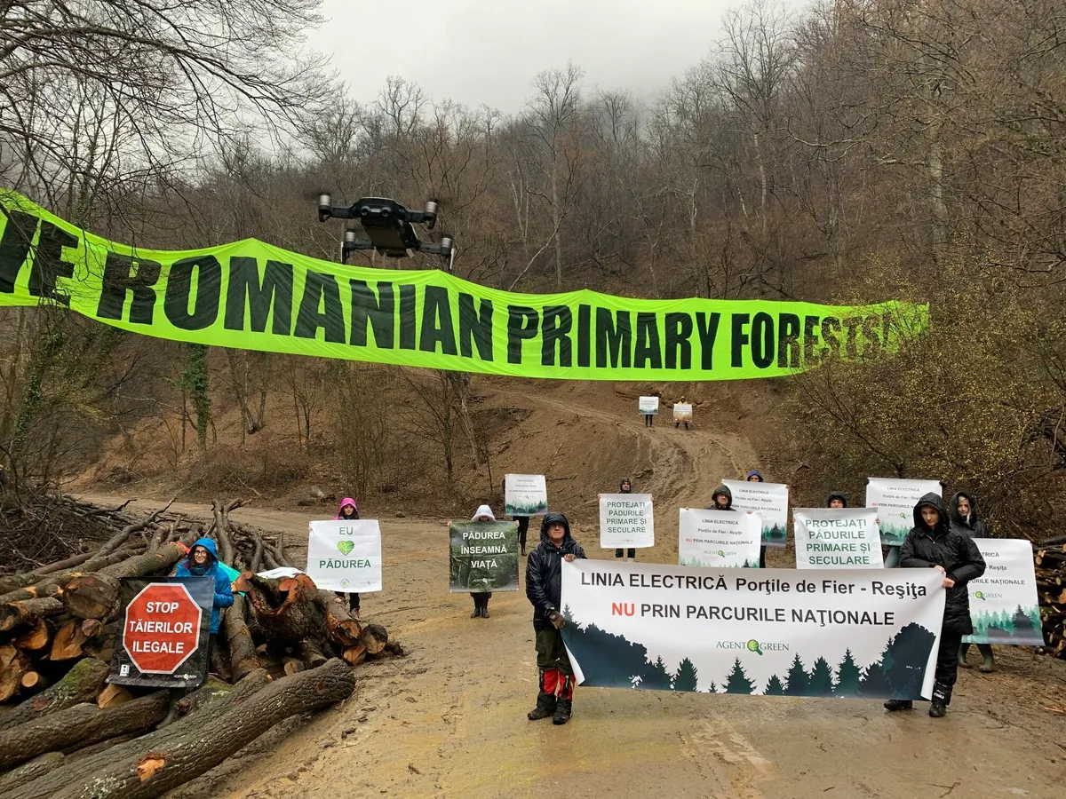 Protest Agent Green pentru stoparea defrișărilor Transelectrica prin 14 arii protejate