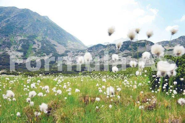 Am castigat o batalie. Razboiul continua