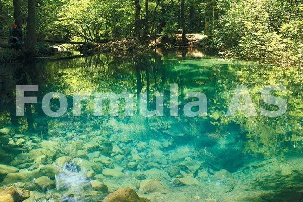 Descrierea paradisului – Fluturi roşii pe-o floare galbenă