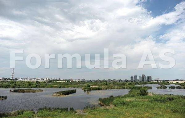 Minunea verde din inima Bucureştilor – Delta Văcăreşti