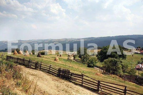 „Ciudaţii” din Munţii Poiana Ruscăi