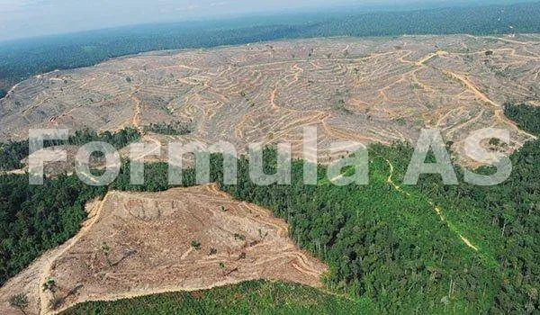 România defrişată