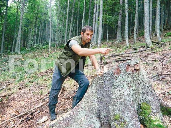 Radiografia unei catastrofe: Munţii Retezat