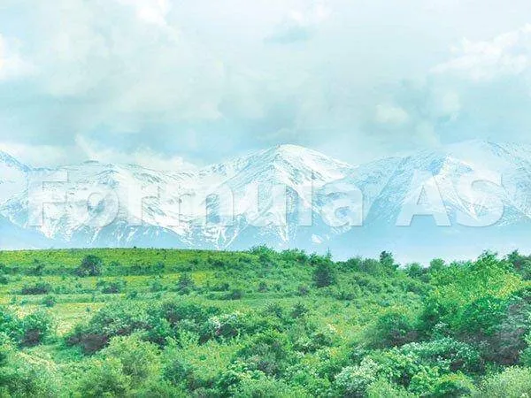 Raiul de la facerea lumii: Pădurea virgină de la Şinca