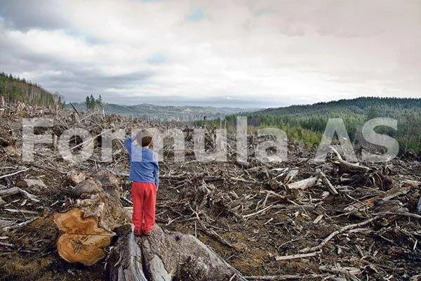 Dezastru în parcurile naţionale din România