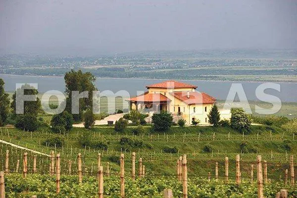 Podgoriile soarelui – DRĂGĂŞANI