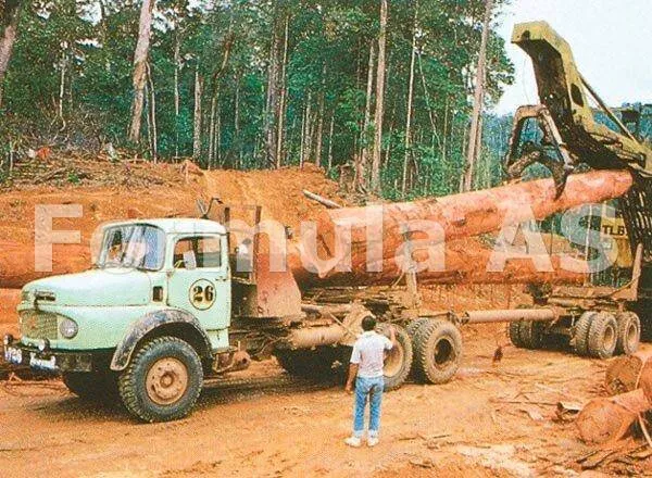 Apocalipsa padurilor romanesti este ACUM