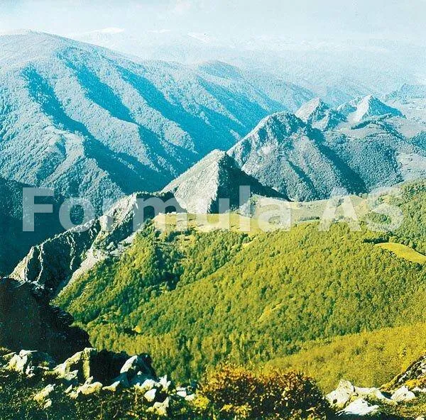 Cu drujba in Paradis