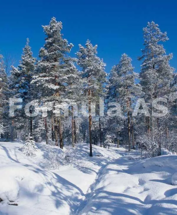 Ioan Covaciu „Ca sa iubesti padurea, iti trebuie dar de la Dumnezeu”