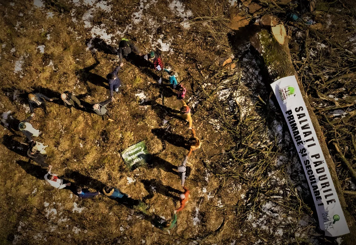 Codrii Iașilor, Stat în Stat. Agent Green sesizează corpul de control al prim-ministrului