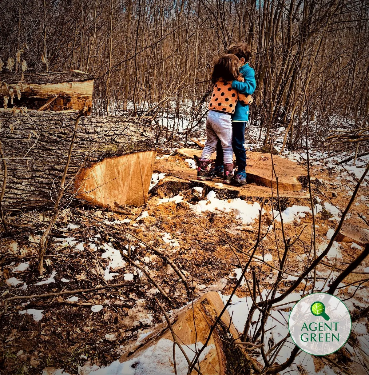 PĂDURI PENTRU ORAȘELE ROMÂNIEI