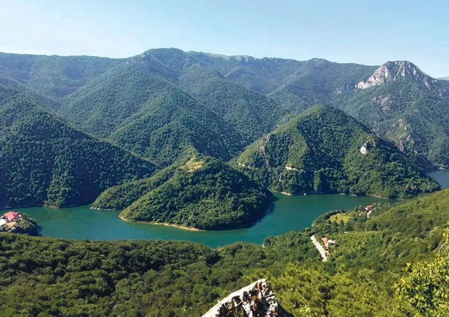 VEȘTI BUNE DIN PĂDURILE ROMÂNIEI