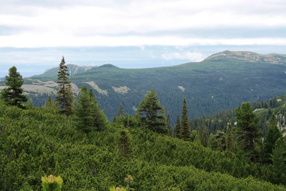 Observații pentru planul de management al Parcului Național Retezat