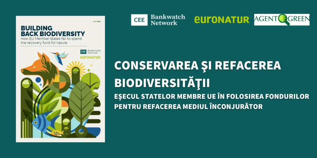 Scrisoare deschisă – Transparența privind Planul Național de Redresare și Reziliență (PNRR)