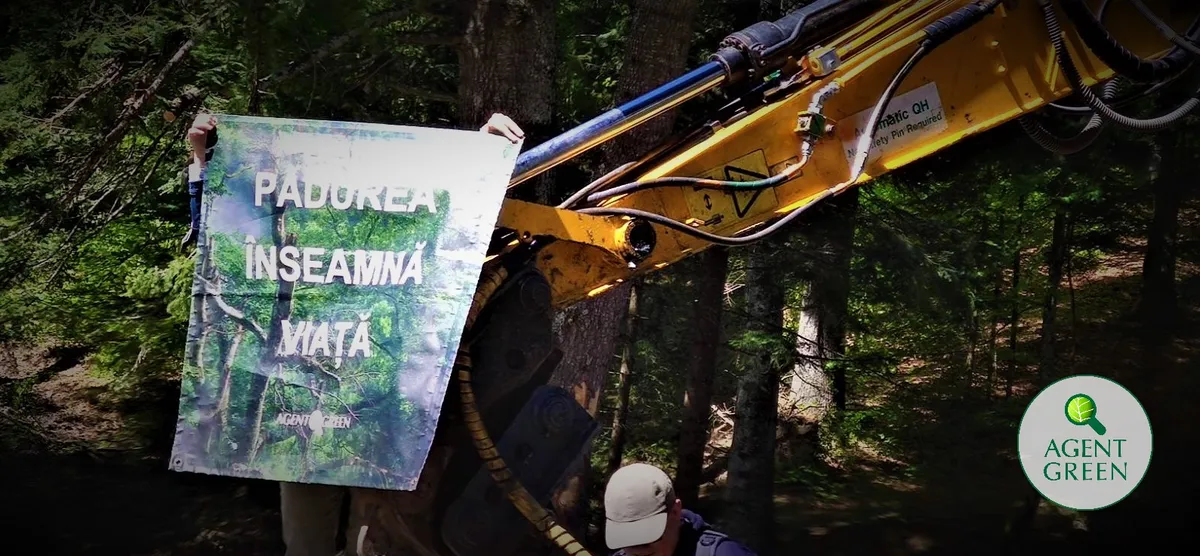Protest: Agent Green expune jaful din pădurile seculare din Bucegi de ziua Europeană a Parcurilor