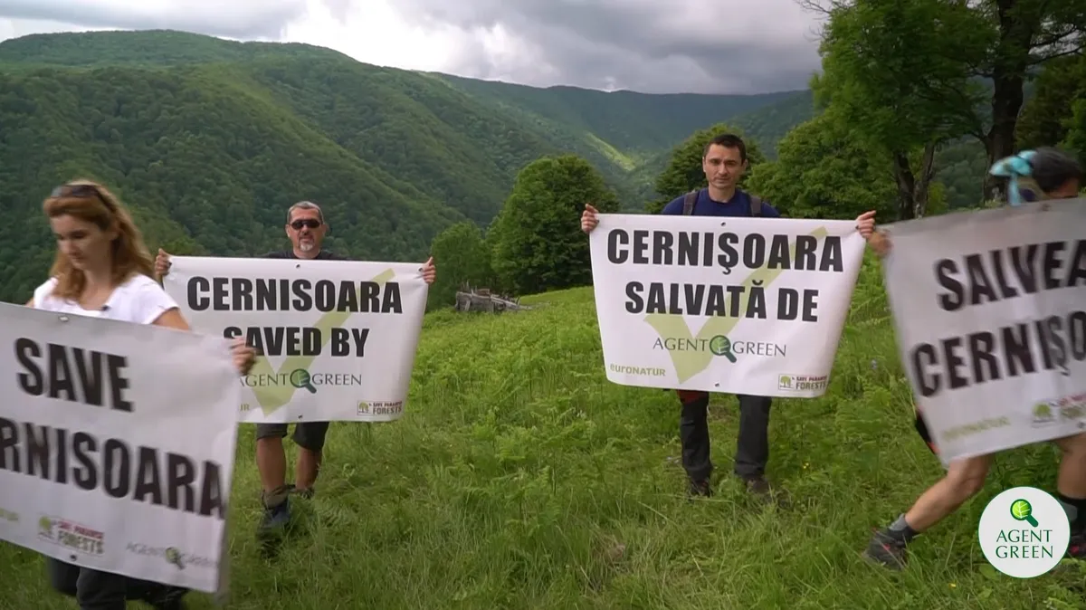 Cum se salvează o pădure