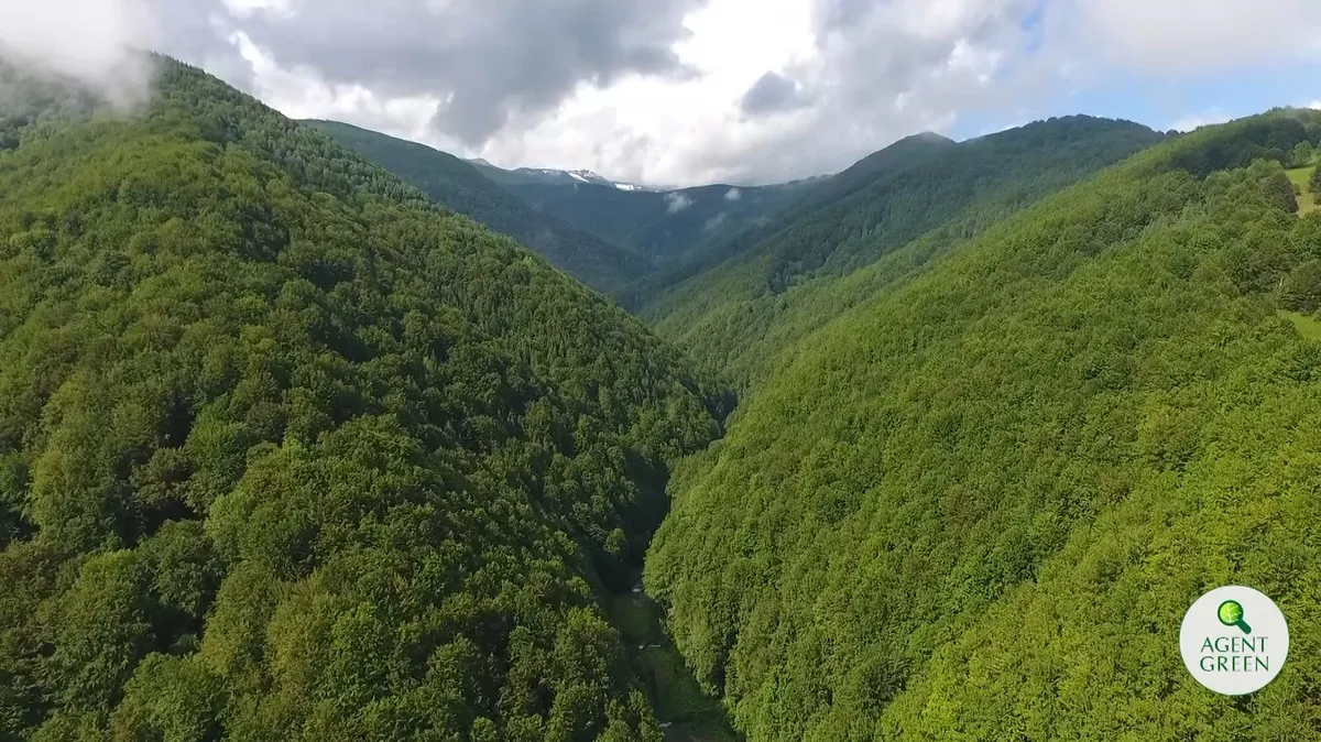 Zeci de mari organizații naționale și internaționale au sesizat Comisia Europeană cu privire la atentatul fără precedent al Ministerului Mediului din România asupra biodiversității