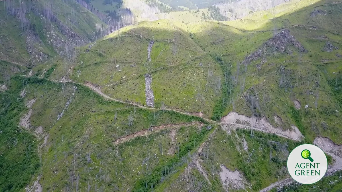 Precedent periculos în Parlamentul României: s-a propus desființarea de arii naturale protejate sau modificarea limitelor