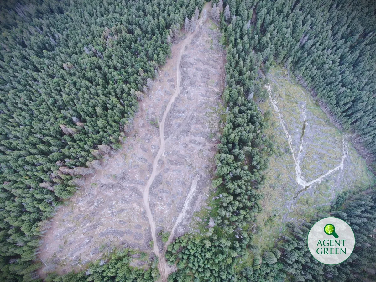 Letter to non-ambitious Romanian MEPs to support the Nature Restoration Law