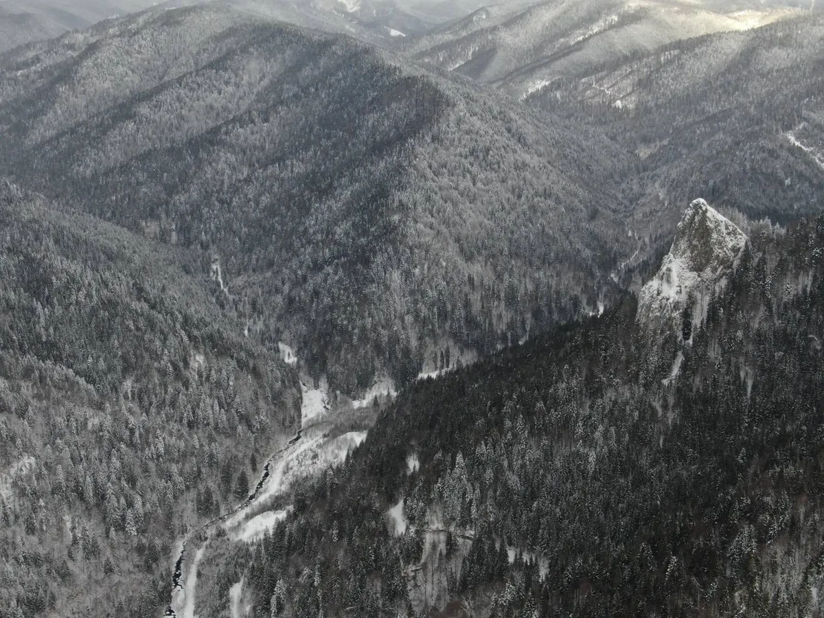 Legea anti-natură a fost adoptată de Parlament. ONG-urile de mediu sesizează Avocatului Poporului și Președintele României privind neconstituționalitatea