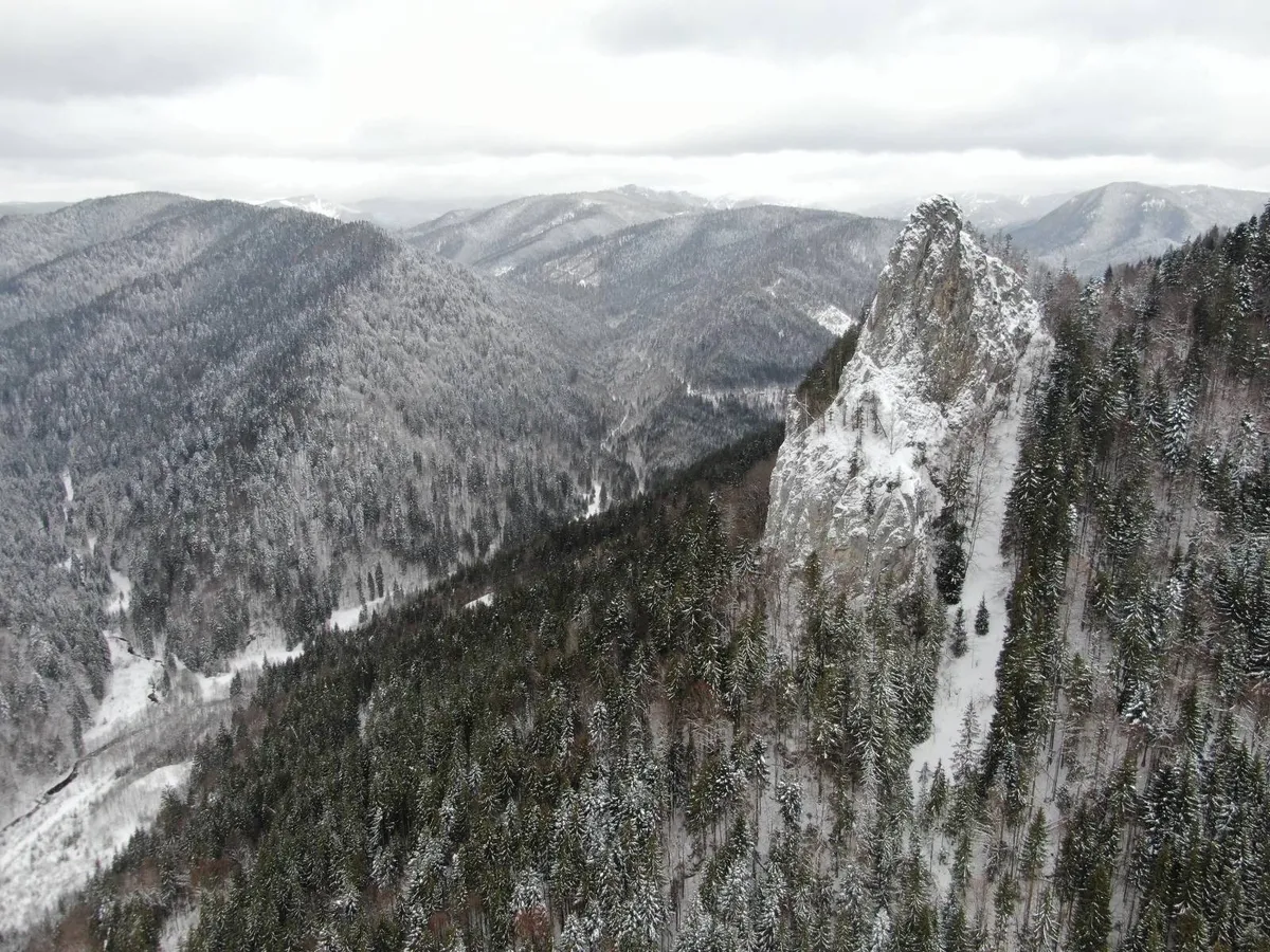 Scrisoare deschisă pentru Președinte privind regimul ariilor naturale protejate, conservarea habitatelor naturale, a florei si faunei sãlbatice