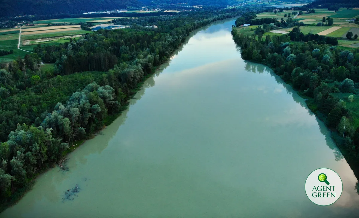 ONG-uri de mediu cer Comisiei Europene să ia măsuri asupra ministrului român al energiei