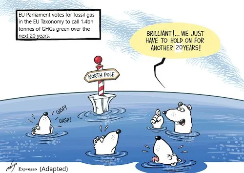 Keeping Politicians Accountable for the Olive Taxonomy