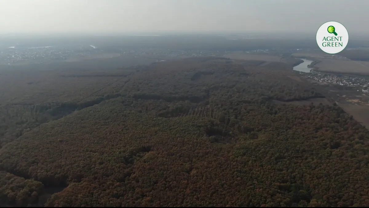 Vânătoare la țarc în loc de pădure de agrement lângă București
