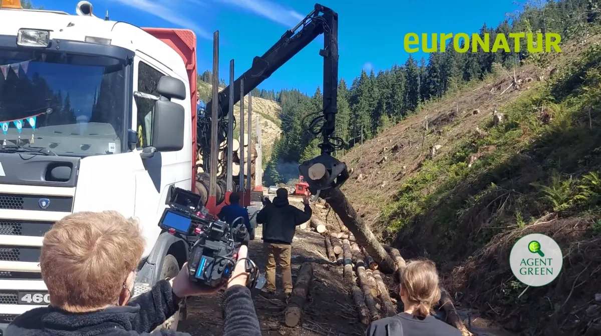 România riscă escaladarea la CEJ a infringementului pe arii naturale protejate