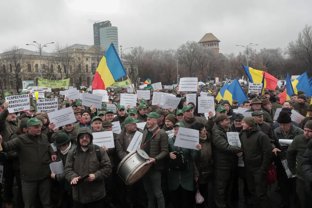 Reforma Romsilva este absolut necesară