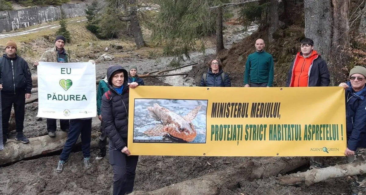 Aspretele în pericol iminent de extincție din cauza unei exploatări forestiere în arii protejate