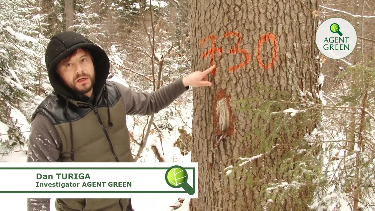 #1 – Jaf în Suceava, OS Dorna Cândrenilor