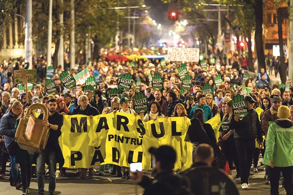 Observațiile Agent Green cu privire la proiectul de lege pentru un nou cod silvic