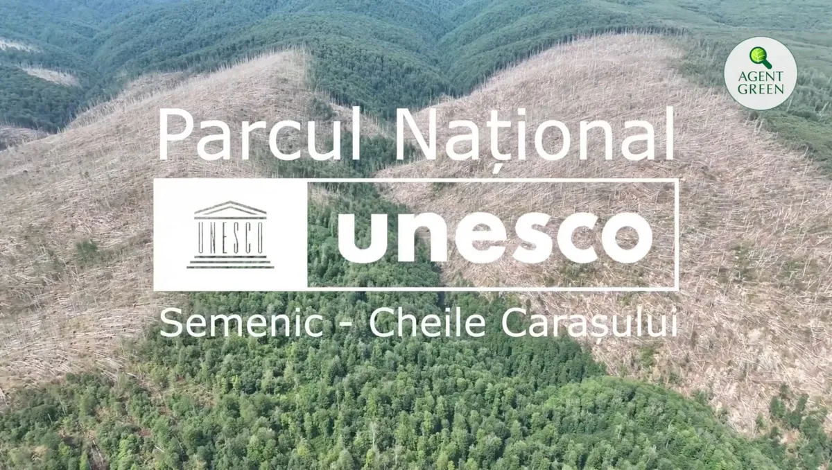 Dezastru în pădurile UNESCO